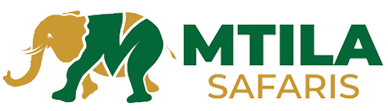 Mtila Safaris