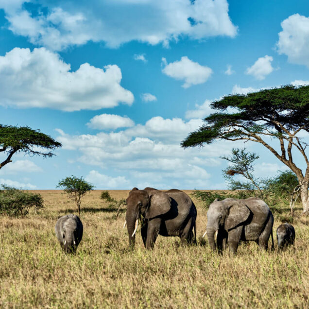 Tanzania
