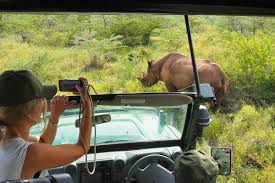 Mkomazi National Park