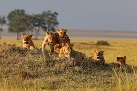 Tanzania