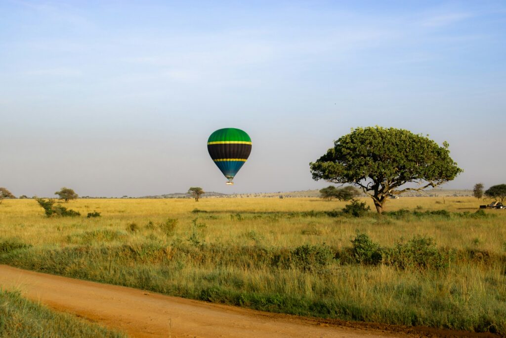 How Safe is a Safari in Tanzania? Your Questions Answered