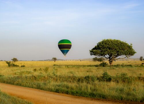 How Safe is a Safari in Tanzania? Your Questions Answered