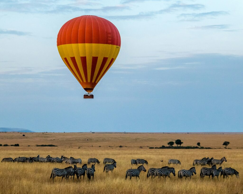 Top 5 Must-Visit Safari Parks in Tanzania