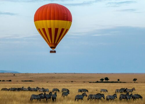 Top 5 Must-Visit Safari Parks in Tanzania