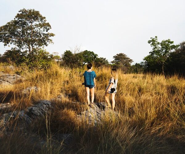 Walking Safari
