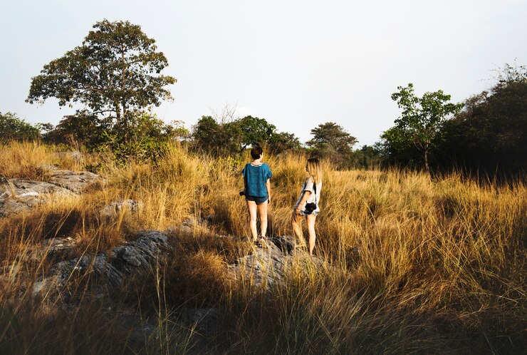 Walking Safari