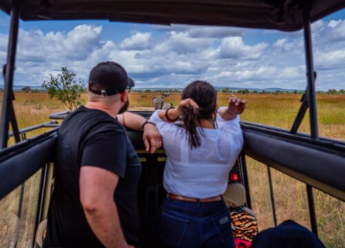 6-Day Great Wildebeest Migration Safari